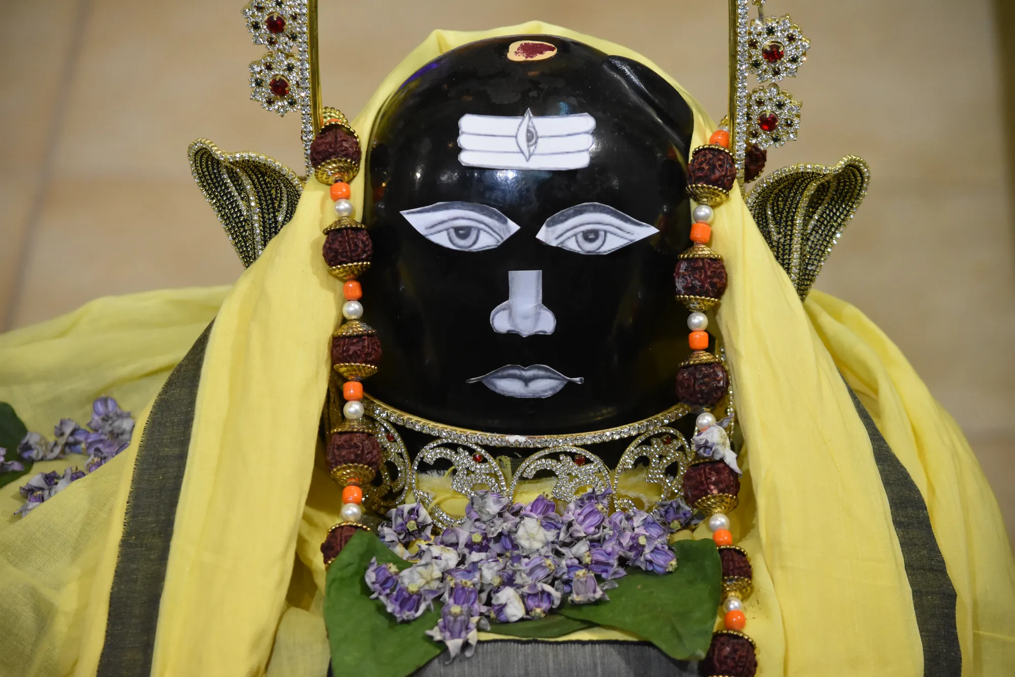 Vasant Panchmi 6